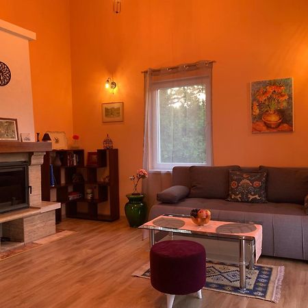 Вилла Patrick House Тиват Экстерьер фото